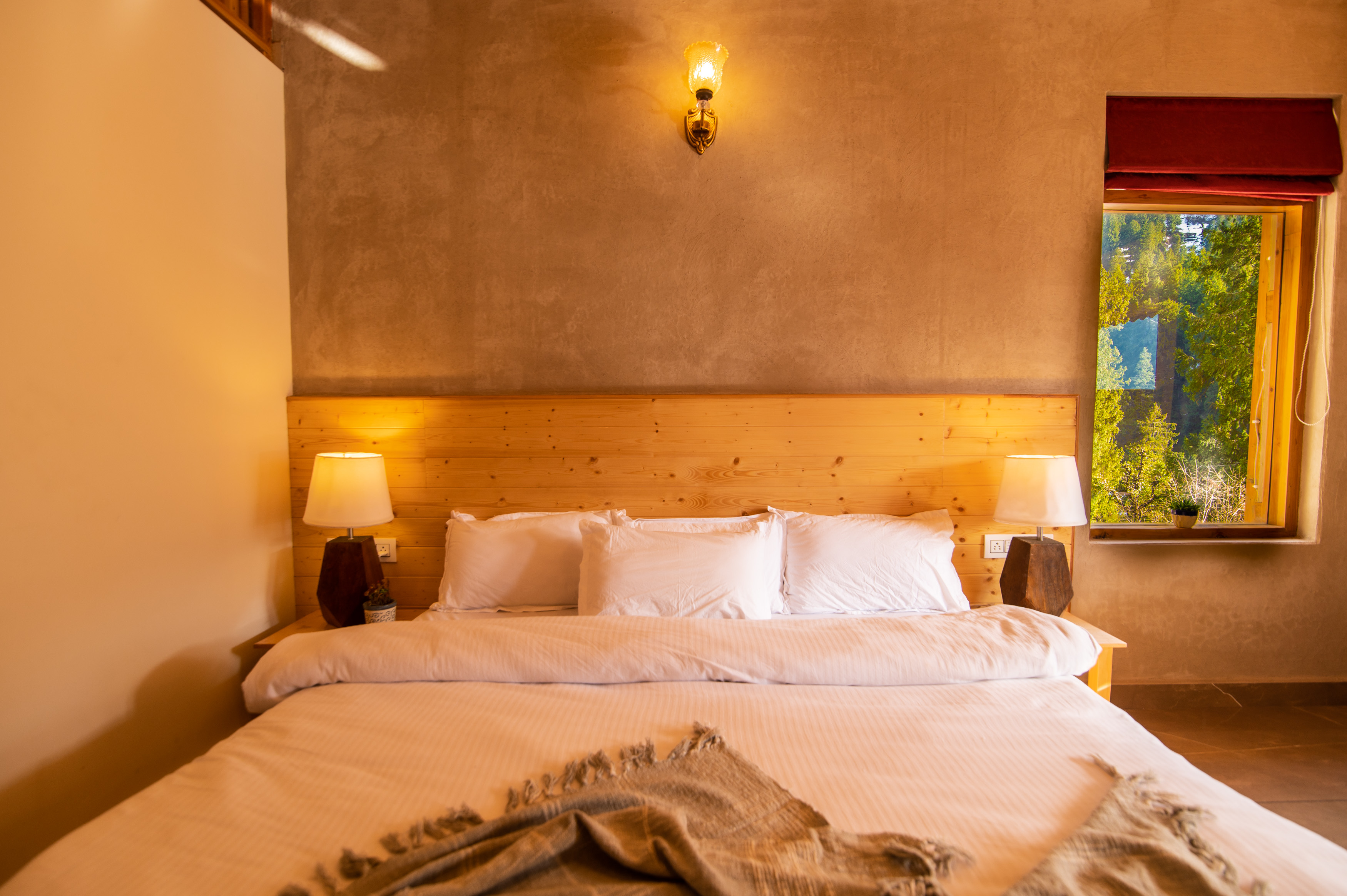 Manali Zen Retreat Mountain View